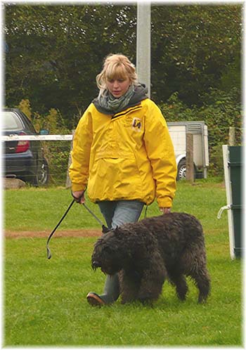 Elevage du CLOS DE LA LUETTE - COPYRIGHT DEPOSE